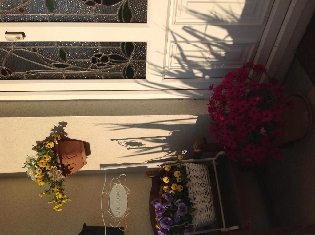Annandale House Bed & Breakfast Dublin Ngoại thất bức ảnh